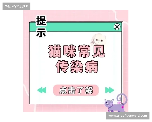 猫咪传染病的隔离治疗方法解析 猫咪传染病的隔离治疗方法解析