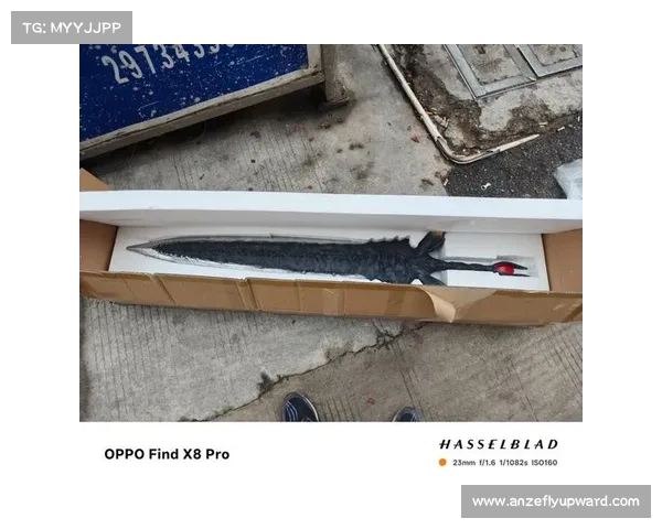 鬼泣5:武器改变之道 鬼泣5:武器改变之道